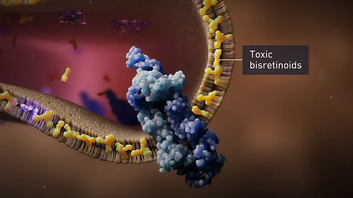 Illustration showing toxic bisretinoids interacting with the ABCA4 protein in retinal cells.